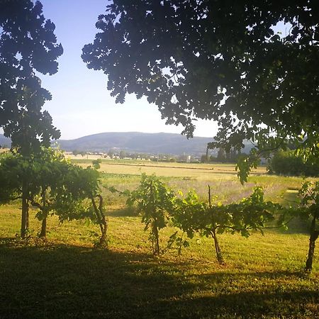 Claudia Vacanza Toscana - Appartamento Melograno -10 Min Da Siena Sovicille Exteriér fotografie