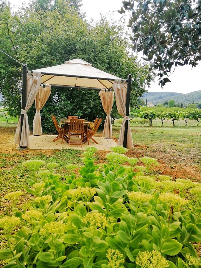 Claudia Vacanza Toscana - Appartamento Melograno -10 Min Da Siena Sovicille Pokoj fotografie