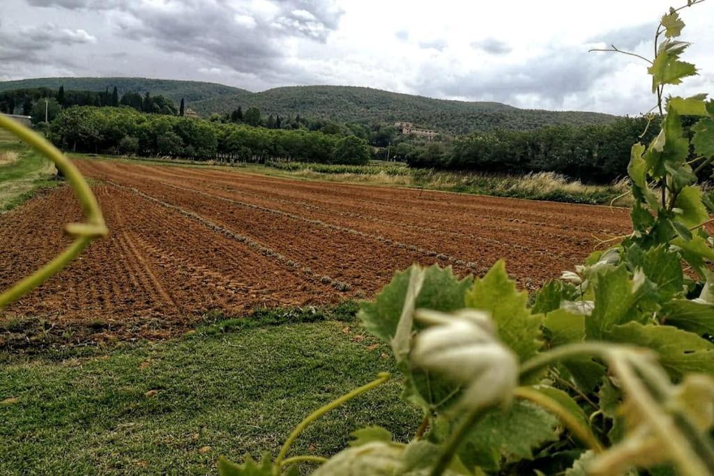 Claudia Vacanza Toscana - Appartamento Melograno -10 Min Da Siena Sovicille Exteriér fotografie