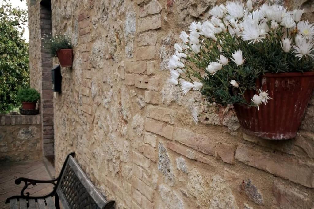Claudia Vacanza Toscana - Appartamento Melograno -10 Min Da Siena Sovicille Exteriér fotografie