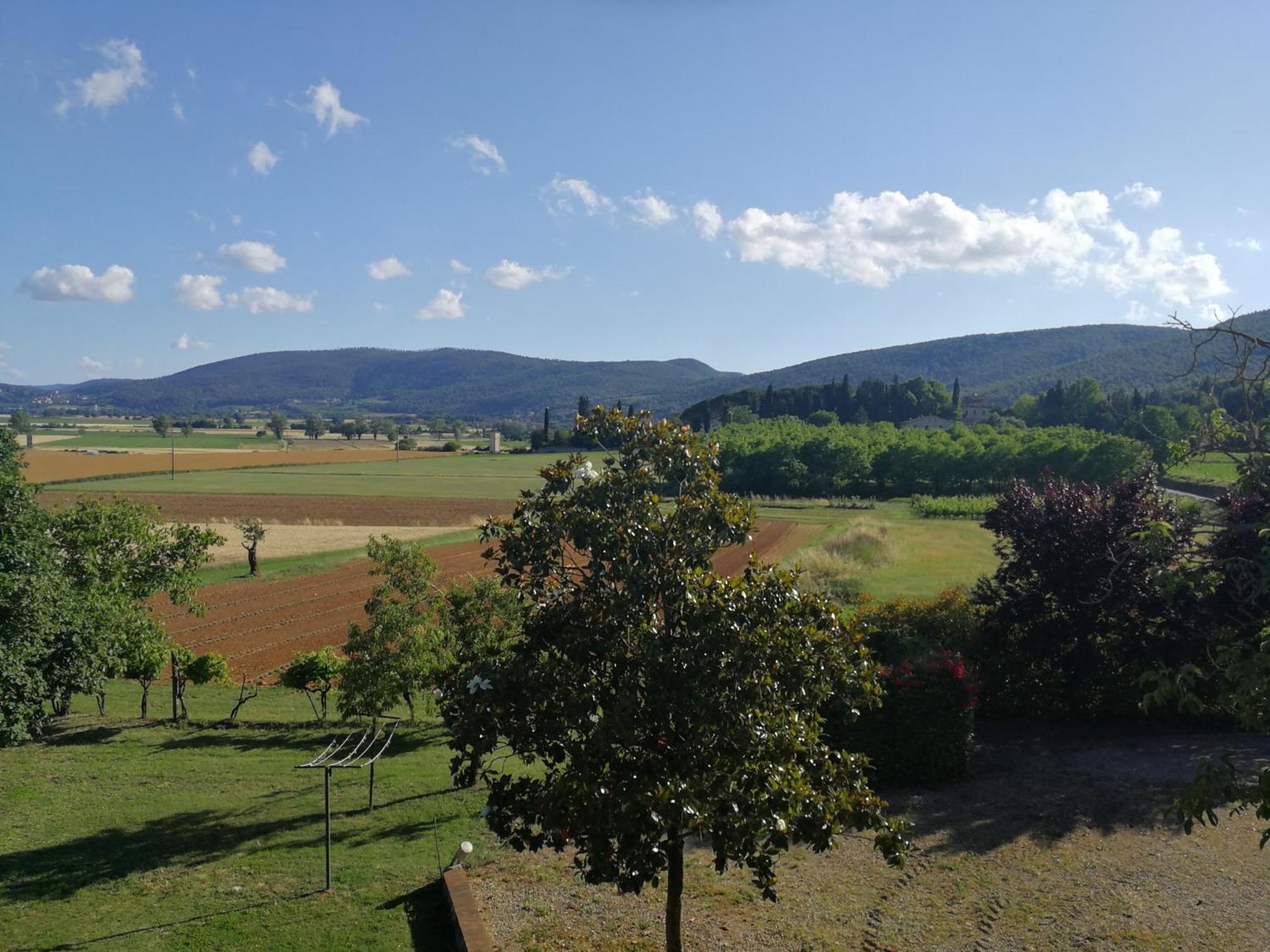 Claudia Vacanza Toscana - Appartamento Melograno -10 Min Da Siena Sovicille Pokoj fotografie